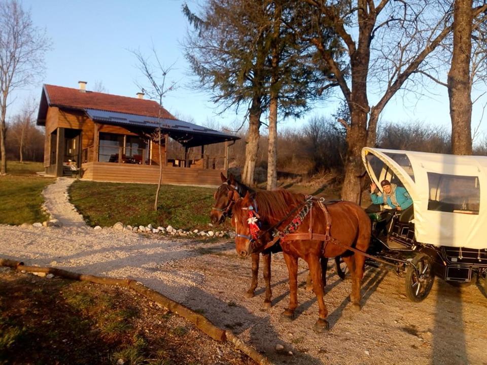 Evergreen House Plitvice Rakovica Dış mekan fotoğraf